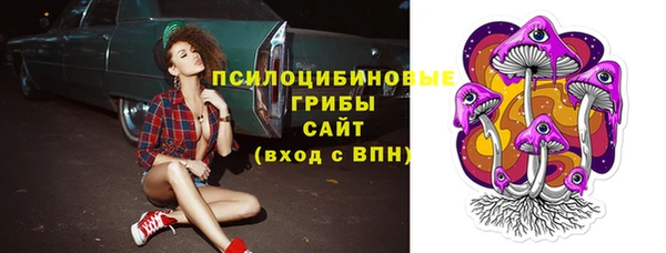 a pvp Ельня