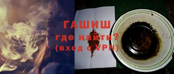 прущие грибы Елабуга