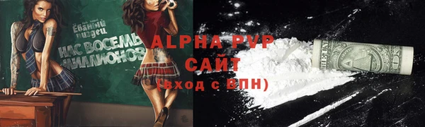 прущие грибы Елабуга