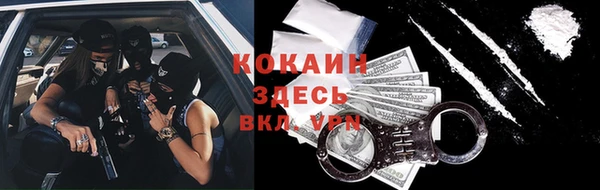 прущие грибы Елабуга