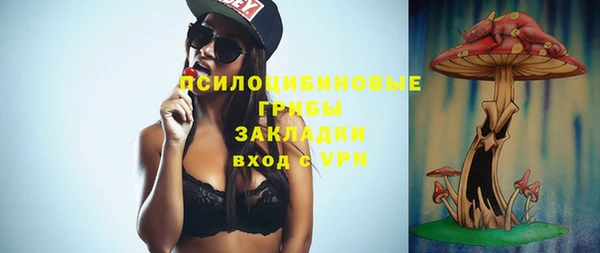 прущие грибы Елабуга