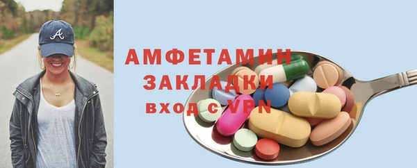 прущие грибы Елабуга