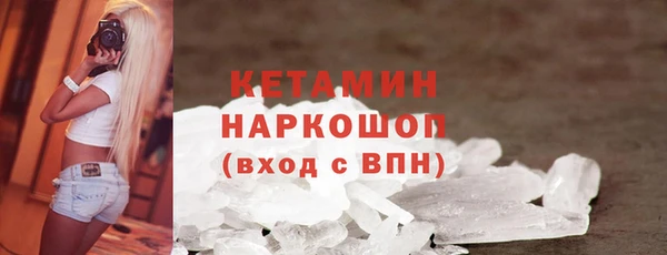 прущие грибы Елабуга