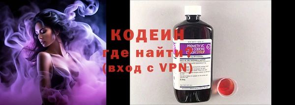 прущие грибы Елабуга