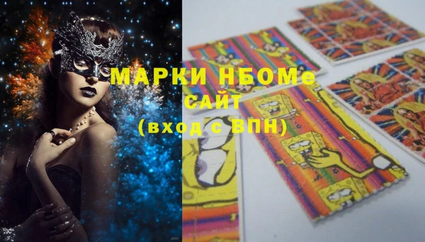 прущие грибы Елабуга