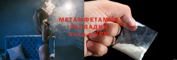 прущие грибы Елабуга
