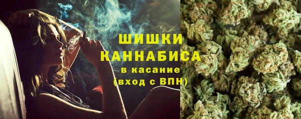 прущие грибы Елабуга