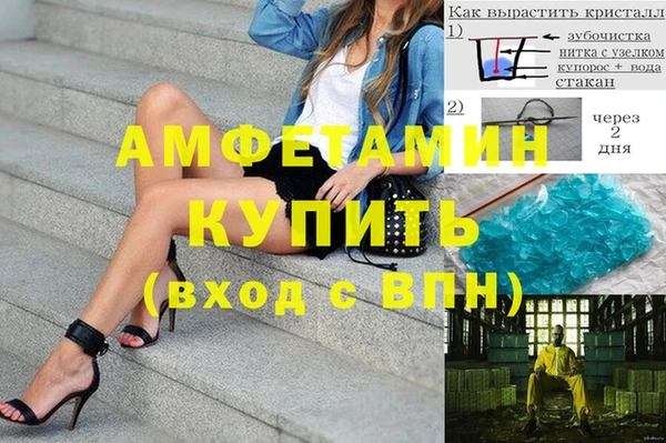 прущие грибы Елабуга