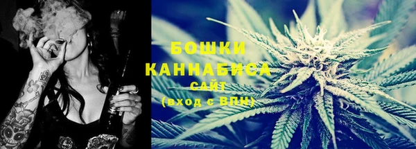 a pvp Ельня