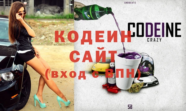 прущие грибы Елабуга