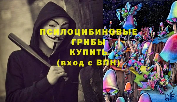 a pvp Ельня