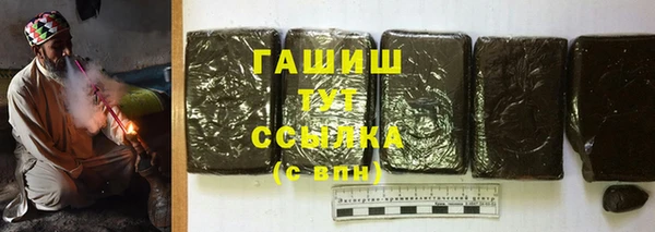 прущие грибы Елабуга